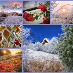 Jigsaw puzzle: Winter decorations