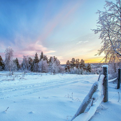 Jigsaw puzzle: Winter road