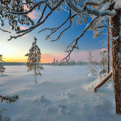 Jigsaw puzzle: Winter morning