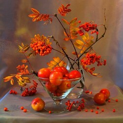 Jigsaw puzzle: Autumn gifts