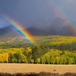 Jigsaw puzzle: Rainbow over the forest