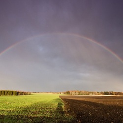 Jigsaw puzzle: Rainbow over the field