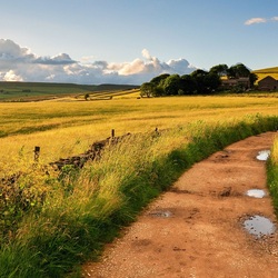 Jigsaw puzzle: Road home
