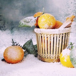 Jigsaw puzzle: Winter fruits