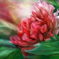 Jigsaw puzzle: Peony red