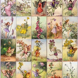Jigsaw puzzle: Summer Flower Fairies