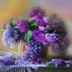 Jigsaw puzzle: Lilac obsession
