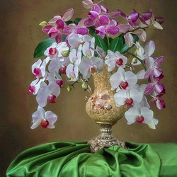 Jigsaw puzzle: Orchid vase