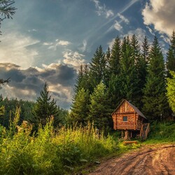 Jigsaw puzzle: Hut in the Ural forest
