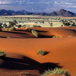 Jigsaw puzzle: Desert of Namibia