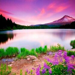Jigsaw puzzle: Mountain lake with flowers