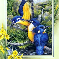 Jigsaw puzzle: Azure Kingfisher