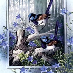 Jigsaw puzzle: Gorgeous Blue-Wren or Fairy-Wren