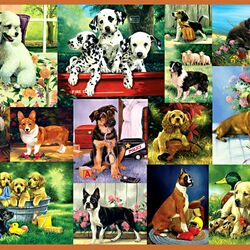 Jigsaw puzzle: Such different dogs