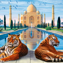Jigsaw puzzle: Taj Mahal and tigers