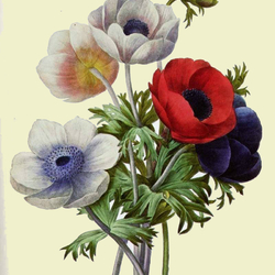 Jigsaw puzzle: Spring bouquet with anemones
