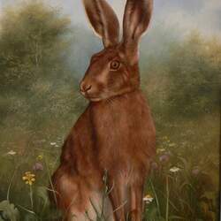 Jigsaw puzzle: Hare