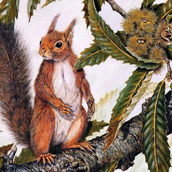 Jigsaw puzzle: Squirrel and chestnut