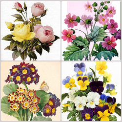 Jigsaw puzzle: Flower assorted