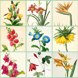 Jigsaw puzzle: Botanical watercolors