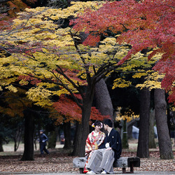 Jigsaw puzzle: Japan. Autumn in the park