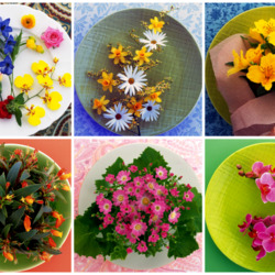 Jigsaw puzzle: Collage of plates with flowers