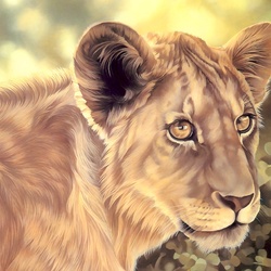 Jigsaw puzzle: Lioness