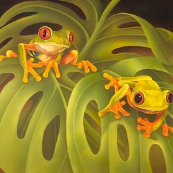 Jigsaw puzzle: Two frogs