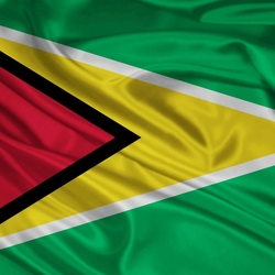 Jigsaw puzzle: Guyana flag