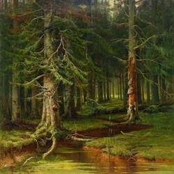 Jigsaw puzzle: Pine forest