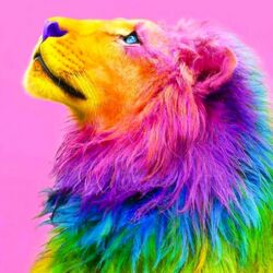 Jigsaw puzzle: Colorful lion