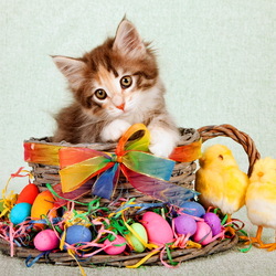 Jigsaw puzzle: Easter cat