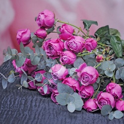 Jigsaw puzzle: Roses