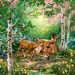 Jigsaw puzzle: Deer rookery