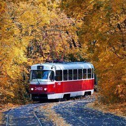 Jigsaw puzzle: Autumn tram
