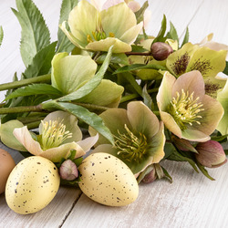 Jigsaw puzzle:  Flowers for Easter
