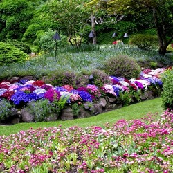 Jigsaw puzzle: In the Butchart garden