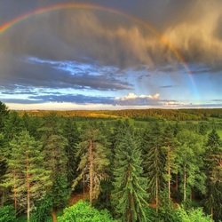 Jigsaw puzzle: Rainbow over the forest
