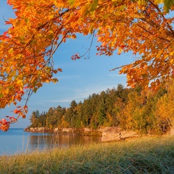 Jigsaw puzzle: Autumn on the lake
