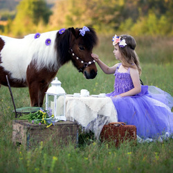 Jigsaw puzzle: Pony and girl