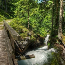 Jigsaw puzzle: Bridge in the forest