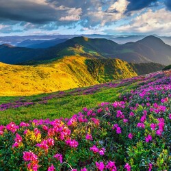 Jigsaw puzzle: Spring in the mountains