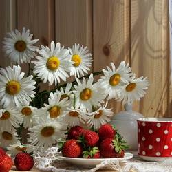 Jigsaw puzzle: White and red still life