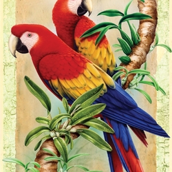 Jigsaw puzzle: Two parrots