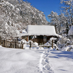 Jigsaw puzzle: Snow covered