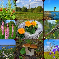 Jigsaw puzzle: Scenes from the summer
