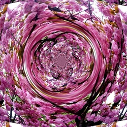Jigsaw puzzle: Fractal sakura