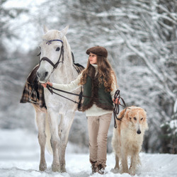 Jigsaw puzzle: Girl with horse and dog