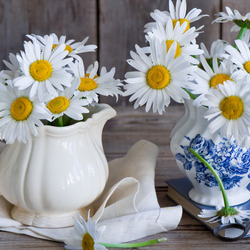 Jigsaw puzzle: Chamomile in a jug