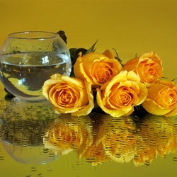 Jigsaw puzzle: Roses